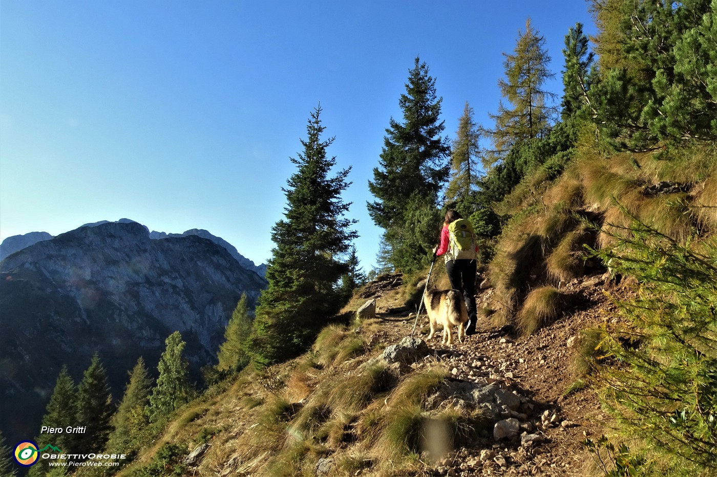 11 Sul sent. 217 saliamo al Monte Campo.JPG